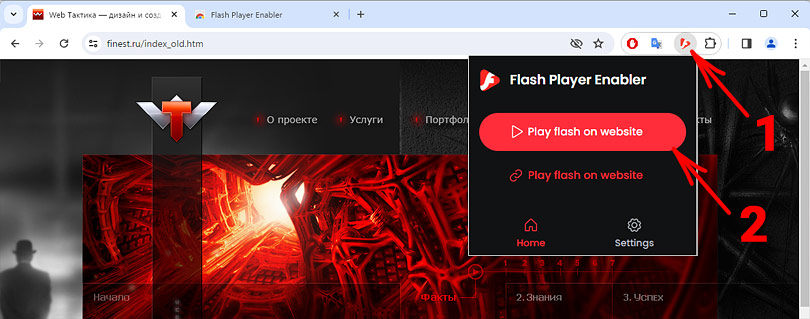 Браузер с поддержкой Flash