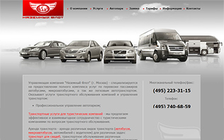 Пример дизайна сайта с Flash анимацией